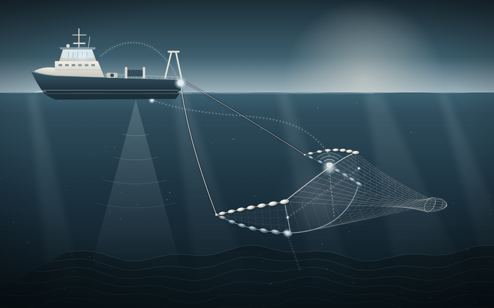 Illustration of a trawler in side profile towing a net.
